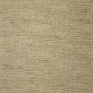 Brown Velvet Curtain