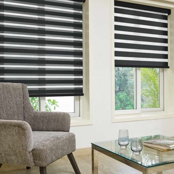 Frida Charcoal Duplex Blind