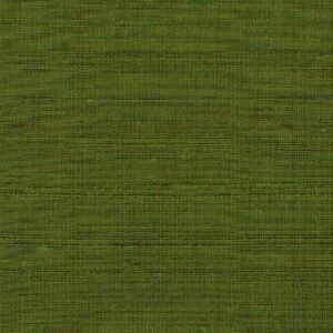 Silk Agra 028