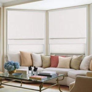 Best Blinds For Your Living Room