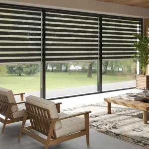 Blackout_zebra-livingroom-blinds