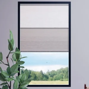 Budget Cordless Blackout Shades