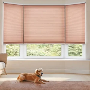 Light Filtering Cellular Shades